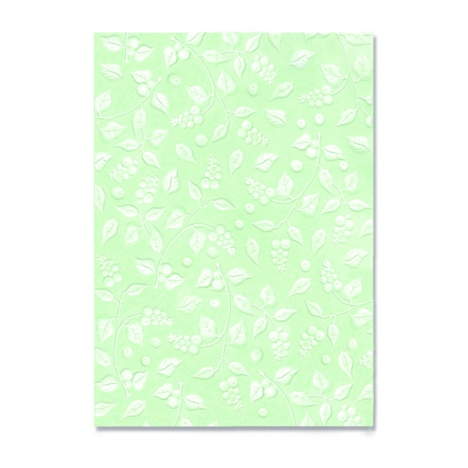 スノーベリー　エンボスフォルダー / Snowberry – 3D Textured Impressions A5 Embossing Folder